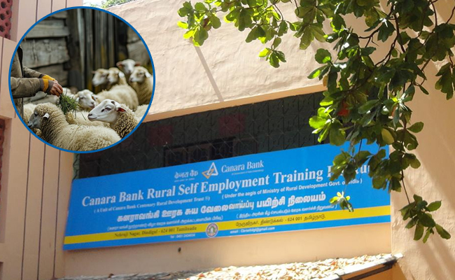 Training on sheep farming  Canara Bank's Rural Self-Employment Training Institute sheep farming training session  Youth in Kurnool participating in sheep farming training  Training materials for scientific sheep farming  Director K. Pushpak discussing sheep farming methods with trainees