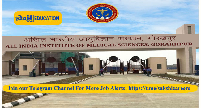 AIIMS, Gorakhpur Faculty Recruitment 2024 Notification 