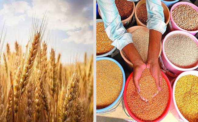 Centre Government Increased MSP On 6 Crops Including Wheat And Gram 