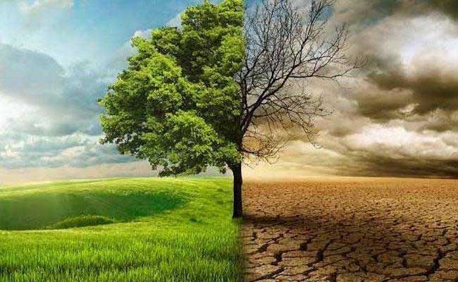 Climate Trends study 2024  Monsoon 2024: Climate Change Drives Extreme Rains and Temperatures across India 