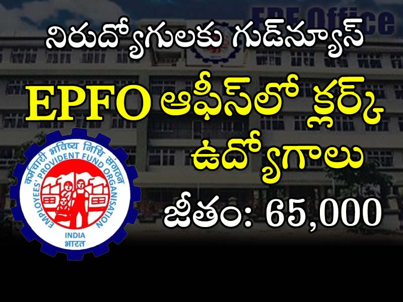 EPFO ​​office Clerk jobs  Apply for EPFO Clerk Jobs with Any Degree Qualification  lerk Job Opportunities at EPFO with 65,000/- Monthly Salary  EPFO Clerk Jobs Notification 