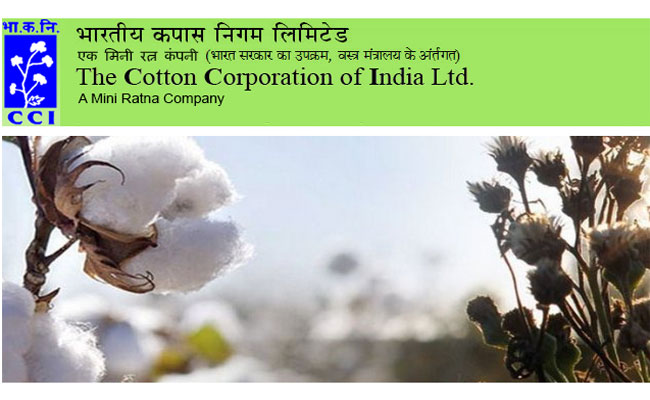 Cotton Corporation of India Limited Recruitment 2024 