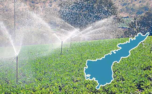 Andhra Pradesh stands fourth in Micro Irrigation  andhra Pradesh ranked fourth in micro-agriculture for 2023-24