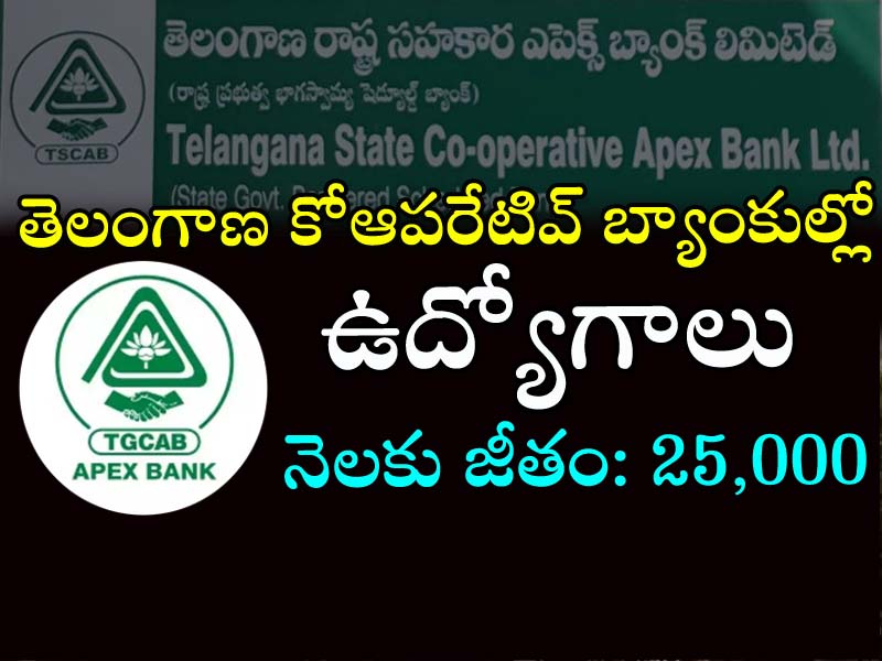 Telangana State Cooperative Banks jobs  Telangana State Cooperative Apex Bank Limited recruitment announcement  TGCAB job notification with 10 vacancies Telangana Cooperative Bank job opportunities 