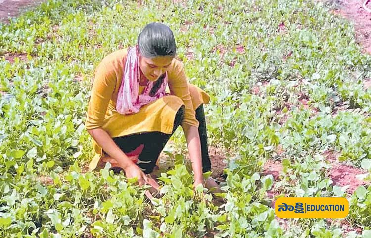 Brilliant Student : ఉన్నత చదువు కు ఫీజు చెల్లించలేక కూలి పనికి వెల్లుతున్న.. గిరిజన బిడ్డ