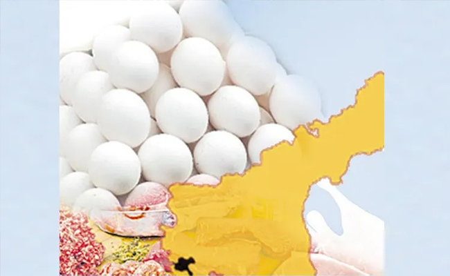 AP ranked first in egg production last financial year