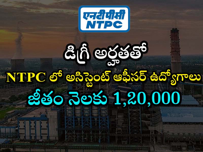 NTPC jobs  NTPC recruitment notification 2024  NTPC Assistant Officer Safety job details  Apply for NTPC Assistant Officer Safety position  NTPC jobs