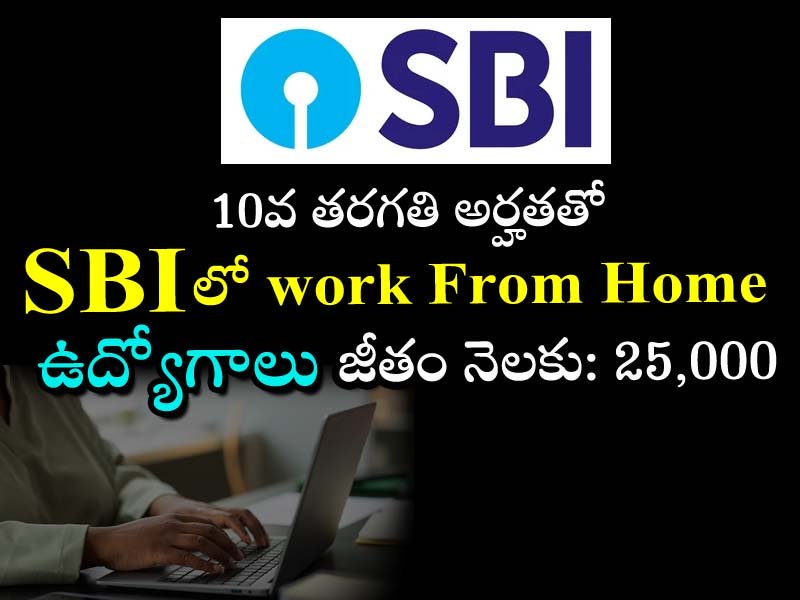 Permanent Work from Home Job Opportunity with SBI   Work From Home jobs  State Bank of India Life Mitra Recruitment Announcement  SBI Life Mitra Job Eligibility Criteria   