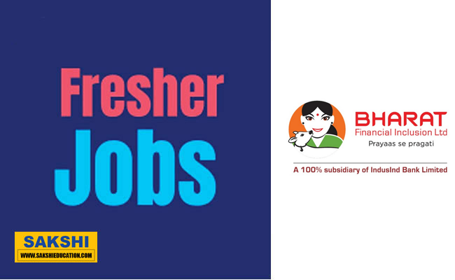 100 Vacancies| Bharat Financial Inclusion Limited