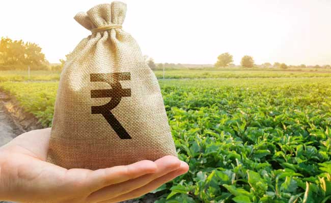 Government extends two crop insurance schemes till 2025-26