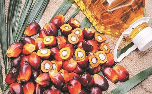 Palm Oil 