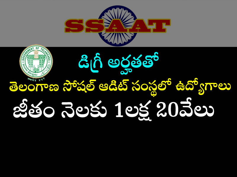 Telangana Social Audit Organization jobs  Telangana SSAAT Director recruitment notification  Telangana SSAAT job openings for Director positions  Notification for Director posts in Telangana SSAAT  Telangana Rural Development Department Director recruitment  