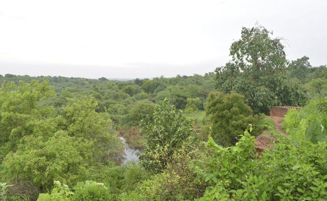 Aravalli Biodiversity Park