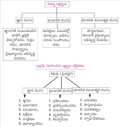 Groups