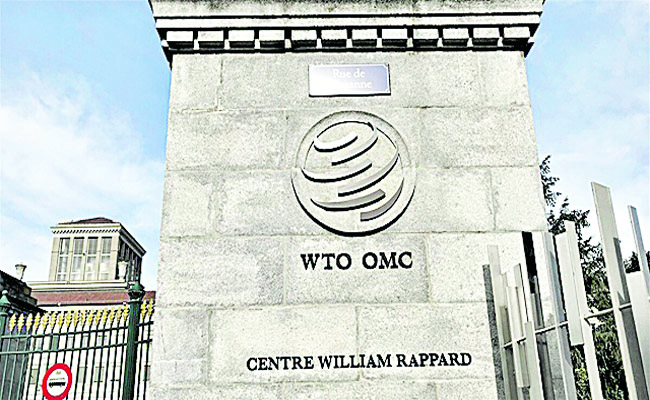 WTO Office
