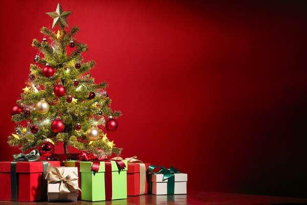 christmas holidays for schools students telugu news