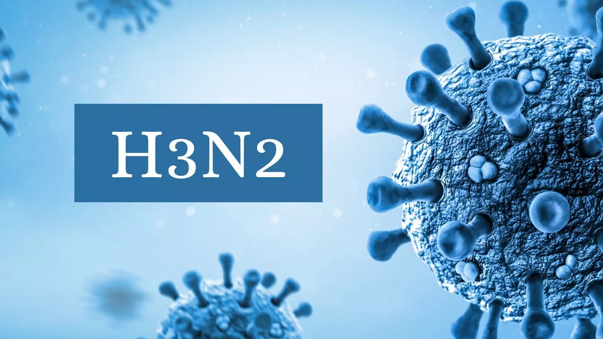 h3n2 virus telugu news