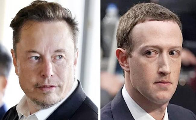 Meta boss Mark Zuckerberg and Twitter owner Elon Musk