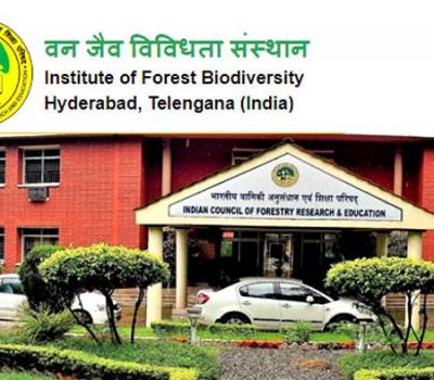 Project Staff Posts at ICFRE-IFB Hyderabad,Job Application Form, Recruitment Announcement