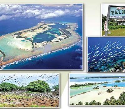 Palmyra Atoll: The Most Expensive Island In The World And Some Interesting Things