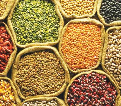 List of Top 10 Pulses Producing Countries in the World