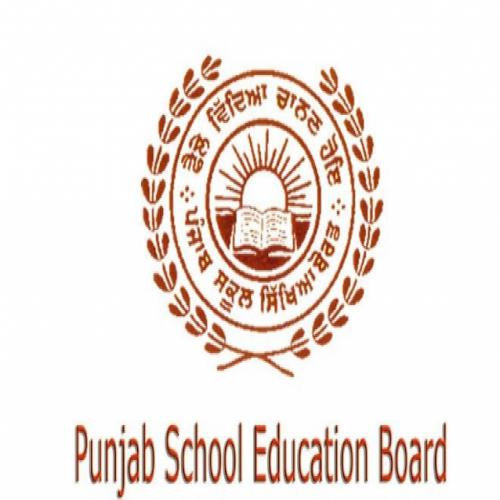 Pseb punjab board class 5 result declared punjab board class 5 result check  here | PSEB Punjab Board Class 5 Result: पंजाब बोर्ड 5वीं कक्षा के नतीजे  घोषित, 99.76 फीसदी छात्र पास | TV9 Bharatvarsh