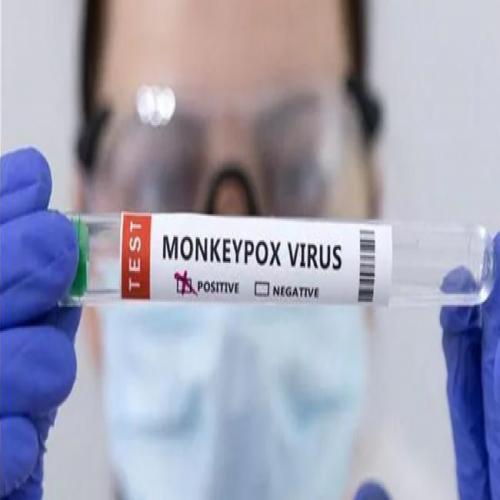 Monkeypox in India : దేశంలోనే తొలి మంకీపాక్స్‌ కేసు.. ! ఎక్క‌డంటే ...