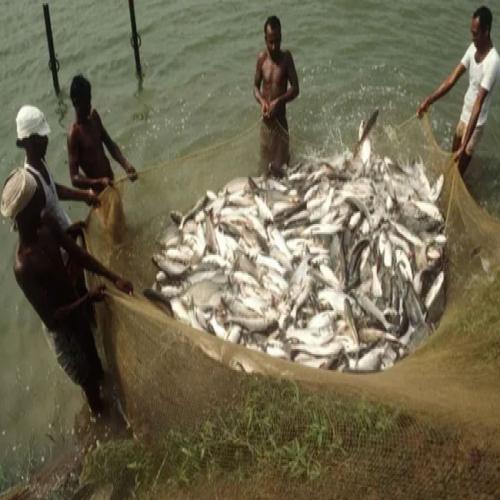 Uttar Pradesh Clinches Top Honors as Best State in Inland Fisheries ...