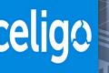 Celigo Trainee Jobs