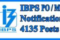 ibps po or mt posts