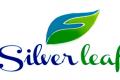Silverleaf Corporation Relationship Executive Posts