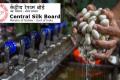Central Silk Board Trainer and Training Assistant