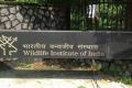 Wildlife Institute of India Dehradun