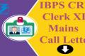 IBPS CRP Clerk XI Mains Call Letter
