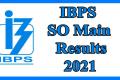 IBPS Specialist Officer Main Exam Results 2021