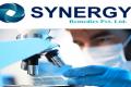 Synergy Freshers Jobs 2022