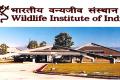 Wildlife Institute of India Notification 2022 Project Associate