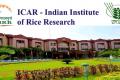 IIRR, Hyderabad Recruitment 2022 Young Professional I