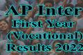AP Inter First Year Vocational Results 2022 Check Direct Link Here