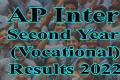 AP Inter Second Year (Vocational) Results 2022