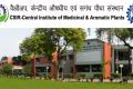 Central Institute of Medicinal & Aromatic Plants Recruitment 2022 for Project Associate