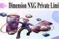 Dimension NXG Private Limited 