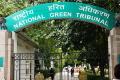National Green Tribunal Recruitment 2022 for Assistant Jobs