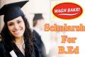 Wagh Bakri Scholarship 