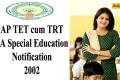 AP TET cum TRT SA Special Education Notification 2002 