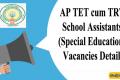 AP TET cum TRT School Assistants Vacancies Details