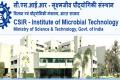 CSIR - Institute of Microbial Technology Recruitment 2022 for Project Associate I 