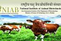 National Institute of Animal Biotechnology Recruitment 2022 Technical Officer & Farm Manager