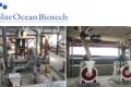 Walkins in Blue Ocean Biotech Private Limited 