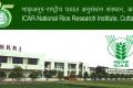Walk-in in National Rice Research Institute 